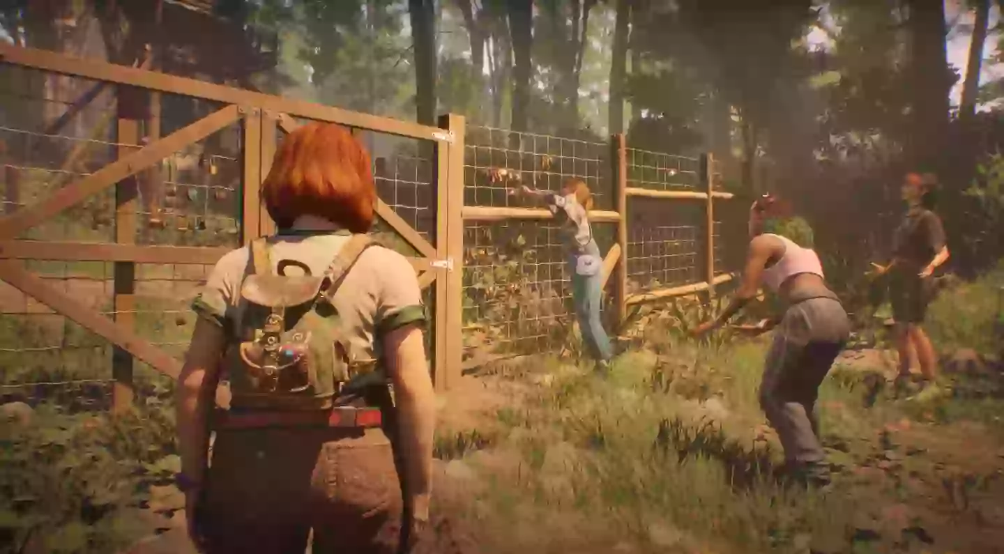 Kredit / Nicken Sie nicht