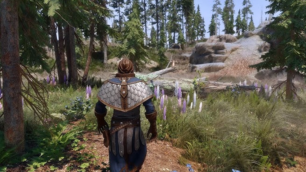 Der Elder Scrolls 6 Gameplay Leak lässt die Fans geteilt