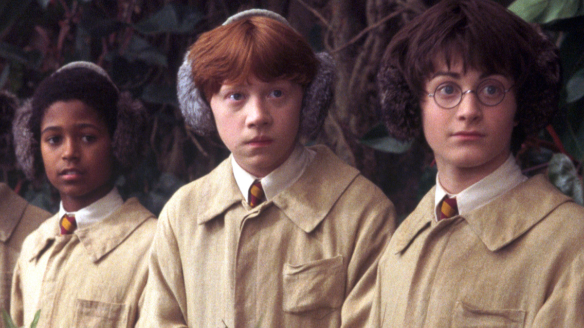 Harry Potter TV -Show soll einen wiederkehrenden Filmstar enthalten