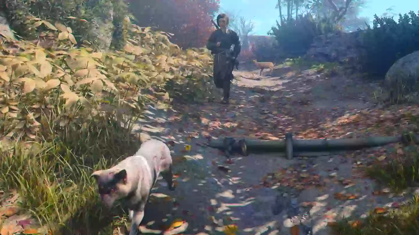 Jahreszeiten fühlen sich das Spiel völlig anders an