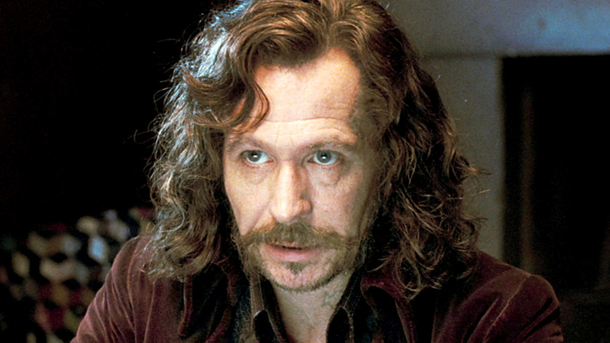 Harry Potter -Fans merken nur, dass 2 Hauptfiguren verwandt waren