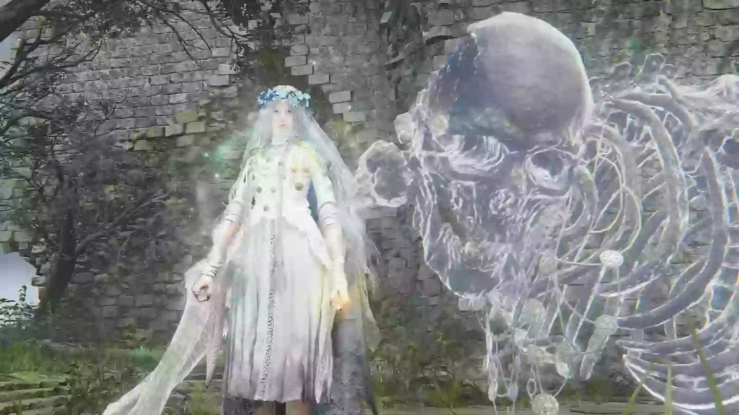 Elden Ring nightreichn/