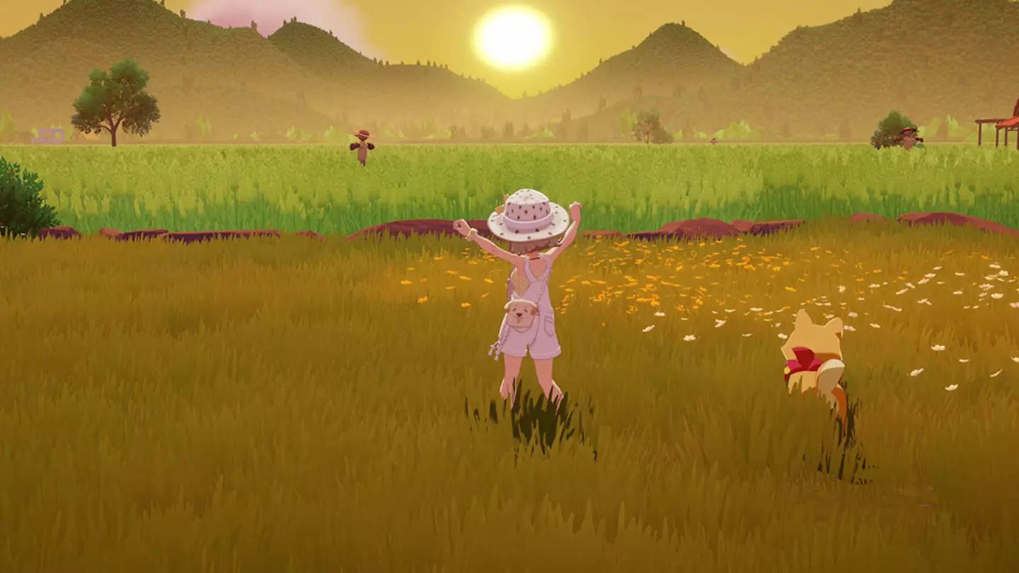 Starsand Island, Kredit-/Saatgutlabor