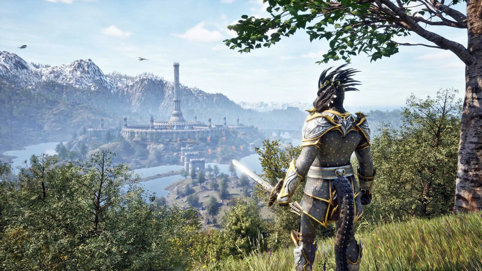 The Elder Scrolls IV: Oblivion Remastered, Bethesda Softworks
