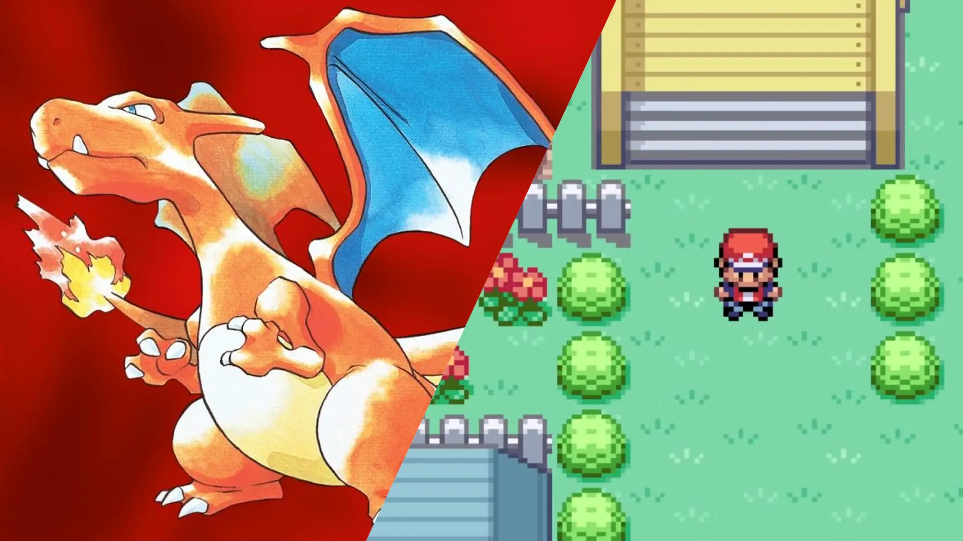 Die Pokémon-Firma